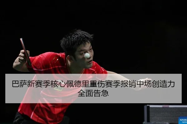ba-sa-xin-sai-ji-he-xin-pei-de-li-zhong-shang-sai-ji-bao-xiao-zhong-chang-chuang-zao-li-quan-mian-gao-ji-2-741.jpg